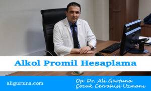 Alkol Sınırı ve Promil Hesaplama